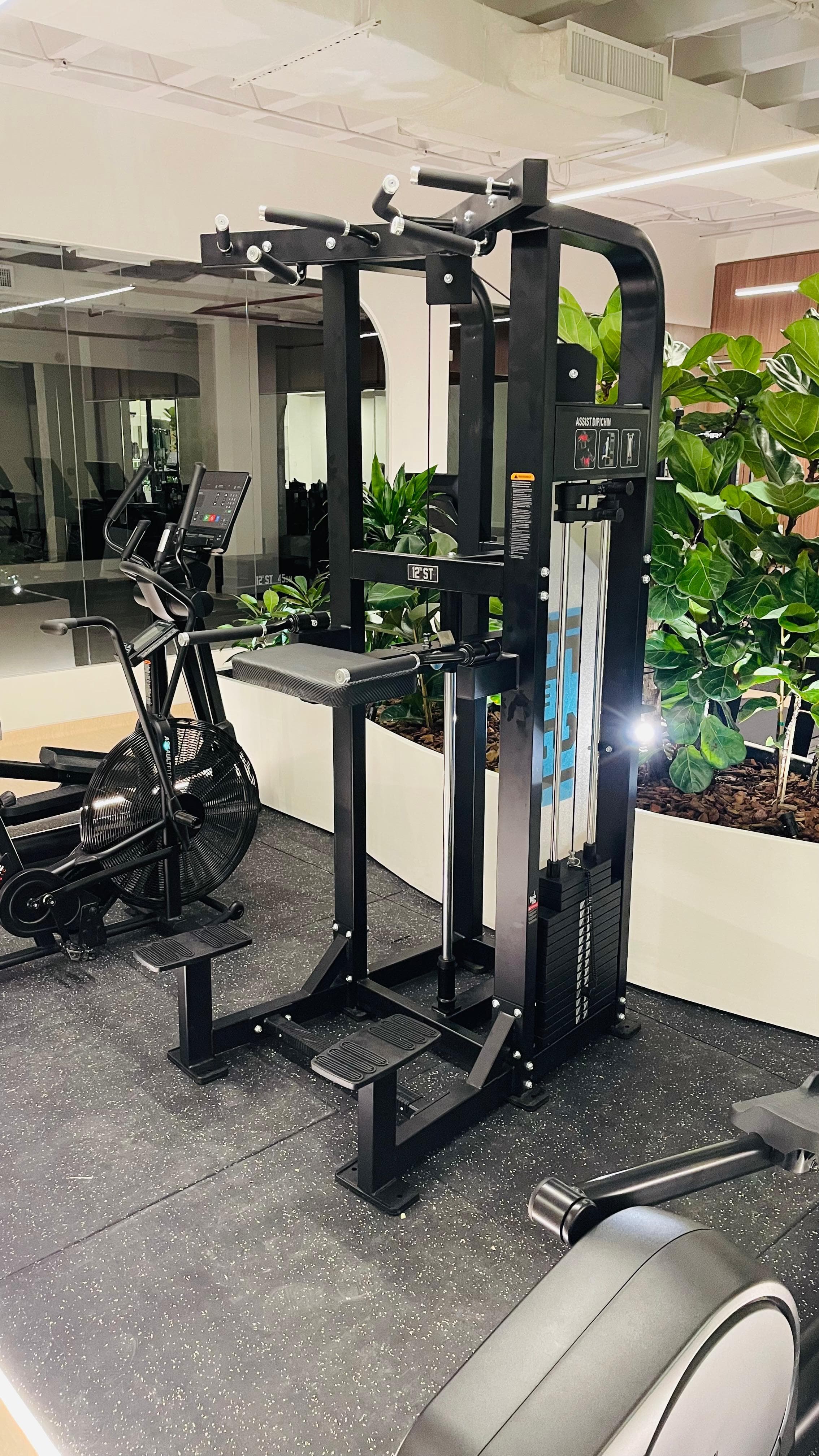 Assisted Pull Up Dips Machine