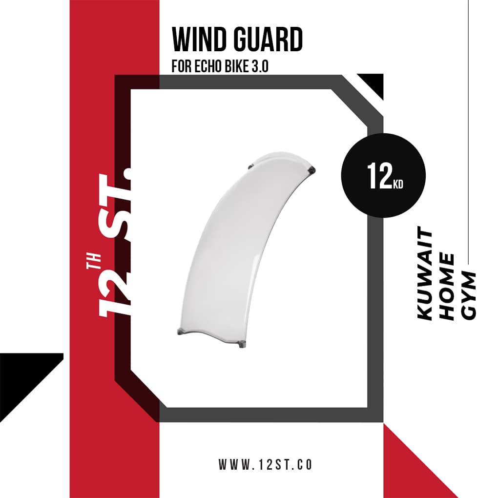 Echo Bike V3.0 Windguard