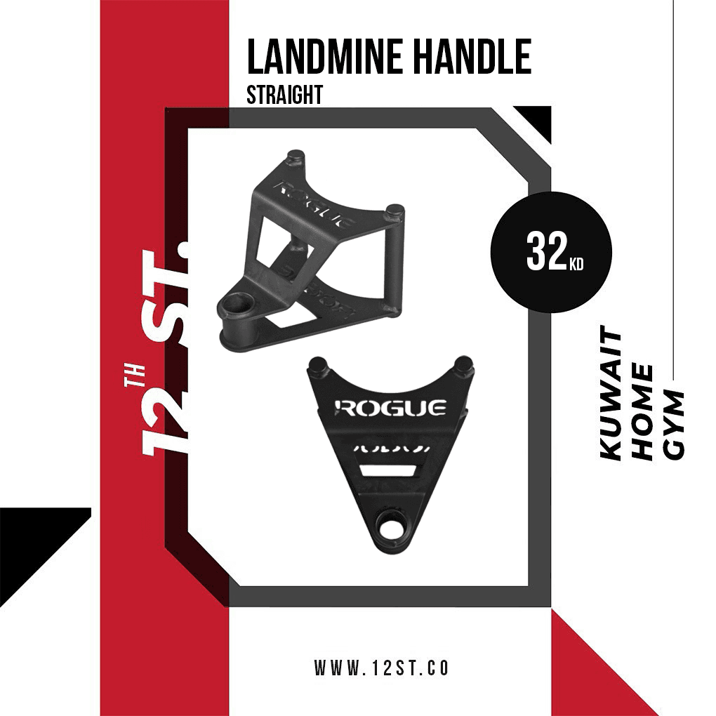Rogue Parallel Landmine Handle