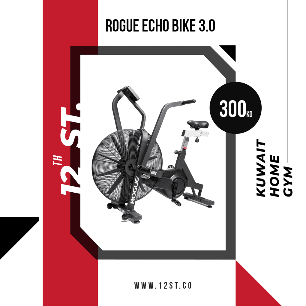 Rogue Echo Bike 3.0