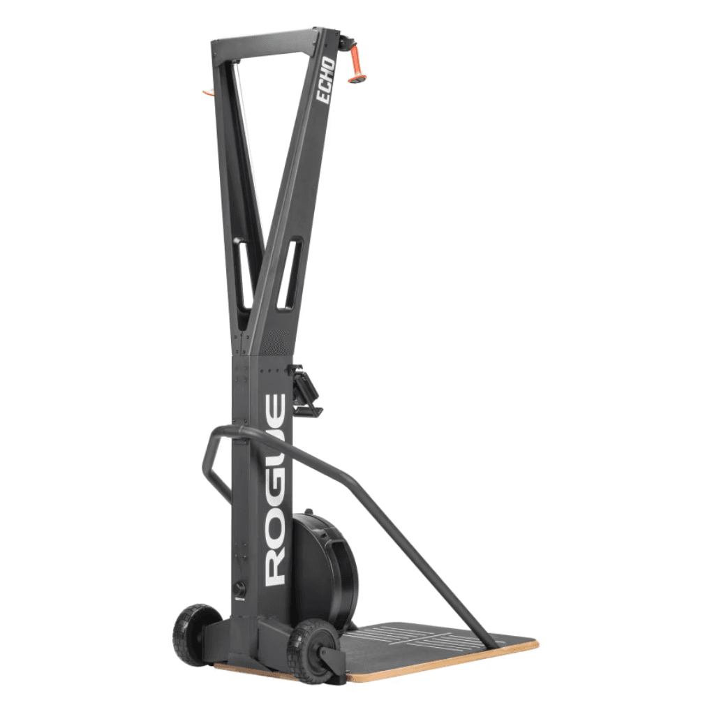 Rogue Echo Ski