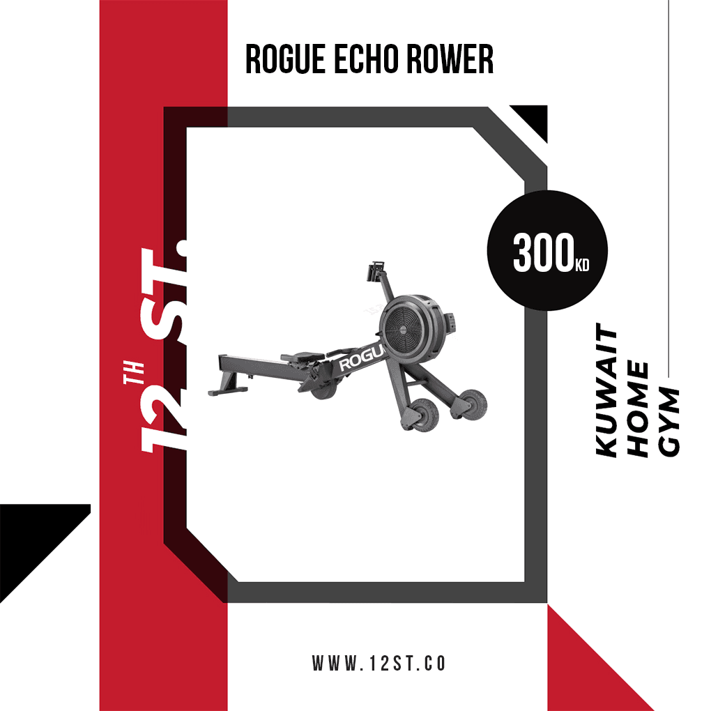 Rogue Echo Rower