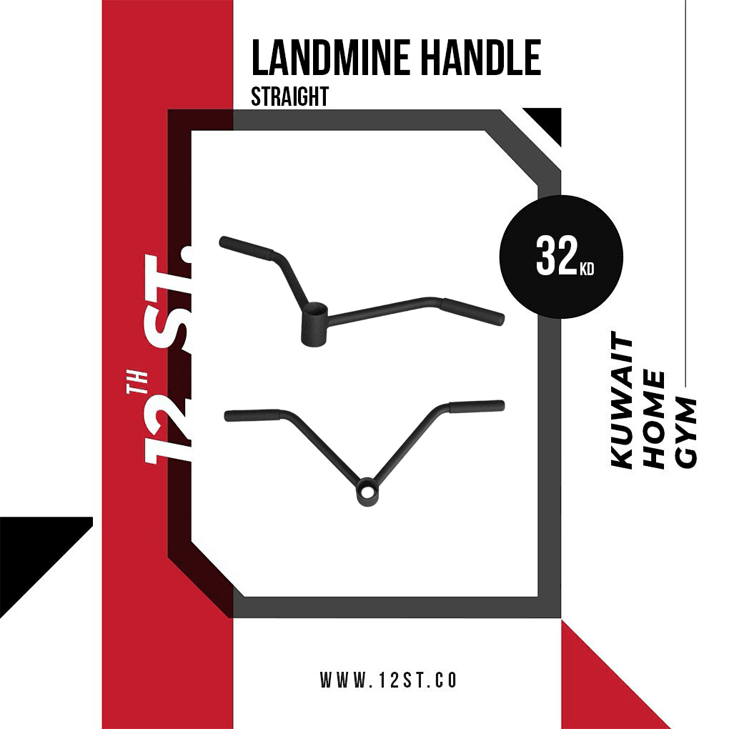 Rogue Straight Landmine Handle