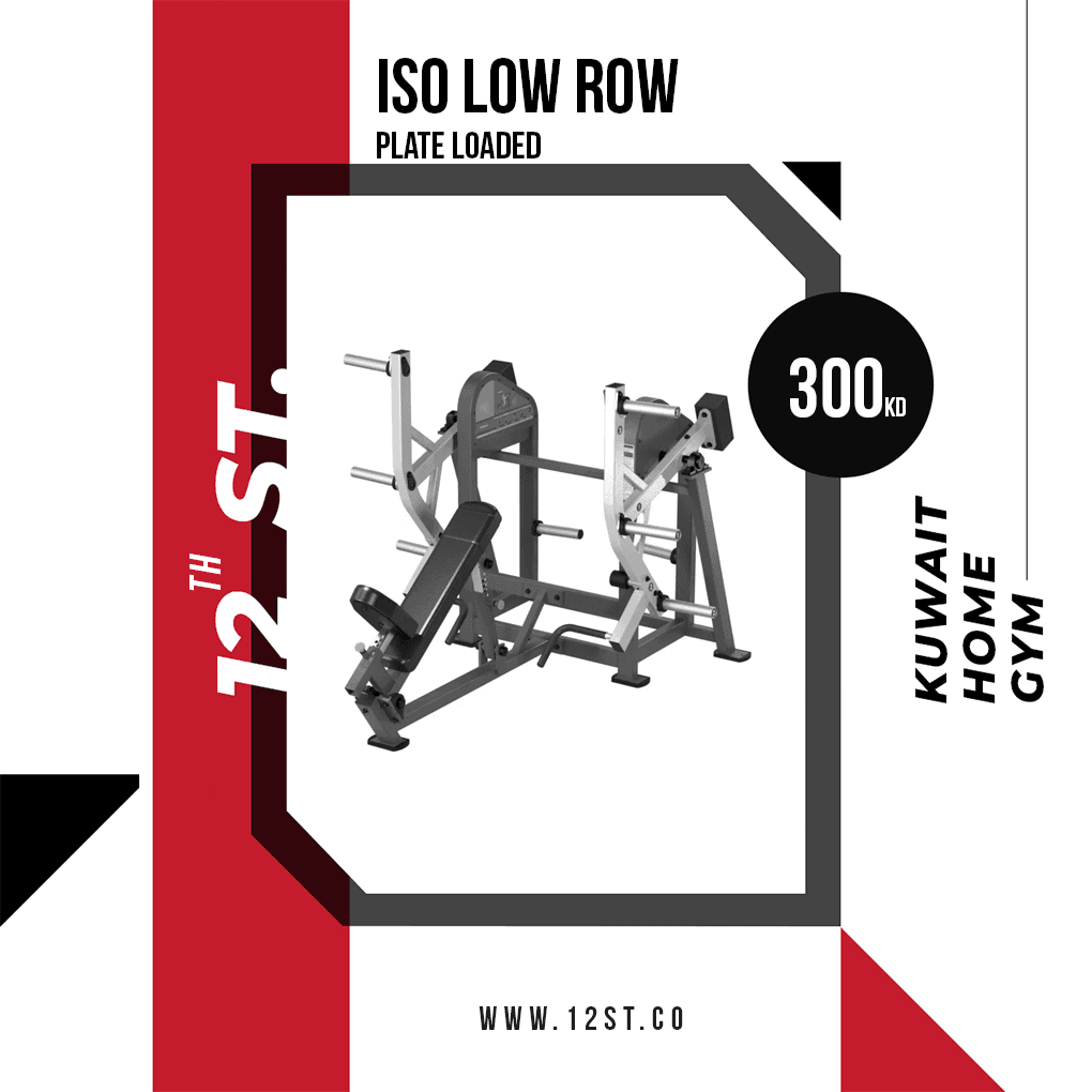 Iso Low Row Plate Loaded