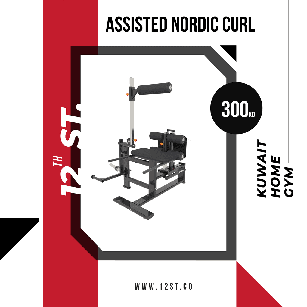 Assisted Nordic Curl