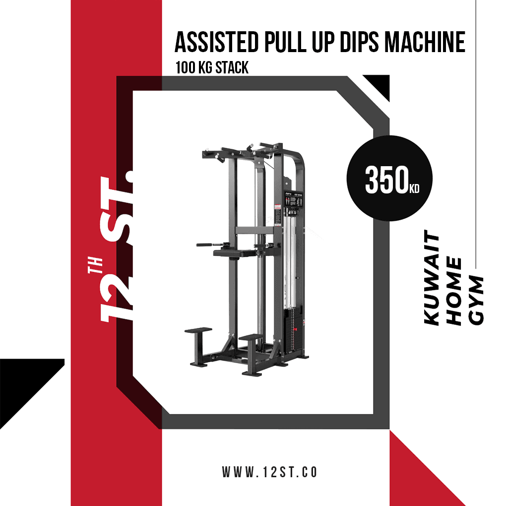 Assisted Pull Up Dips Machine