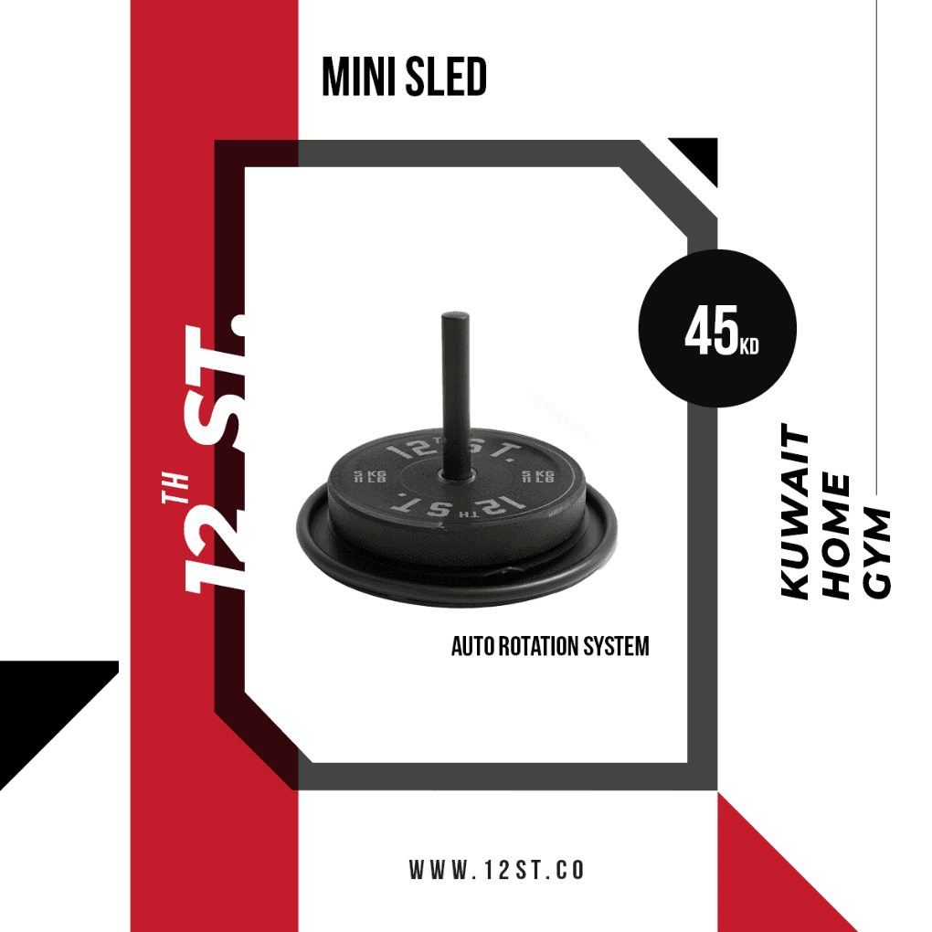 Mini Sled