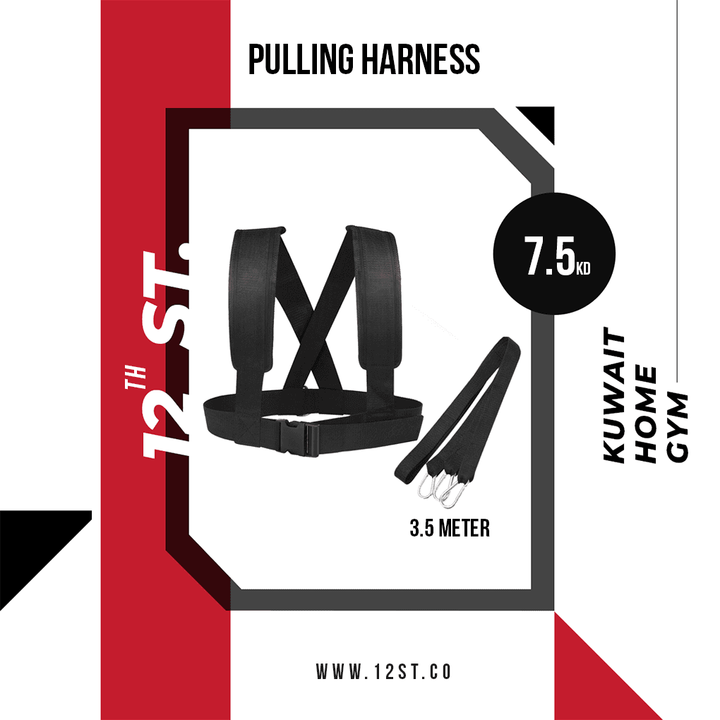 Pulling Harness