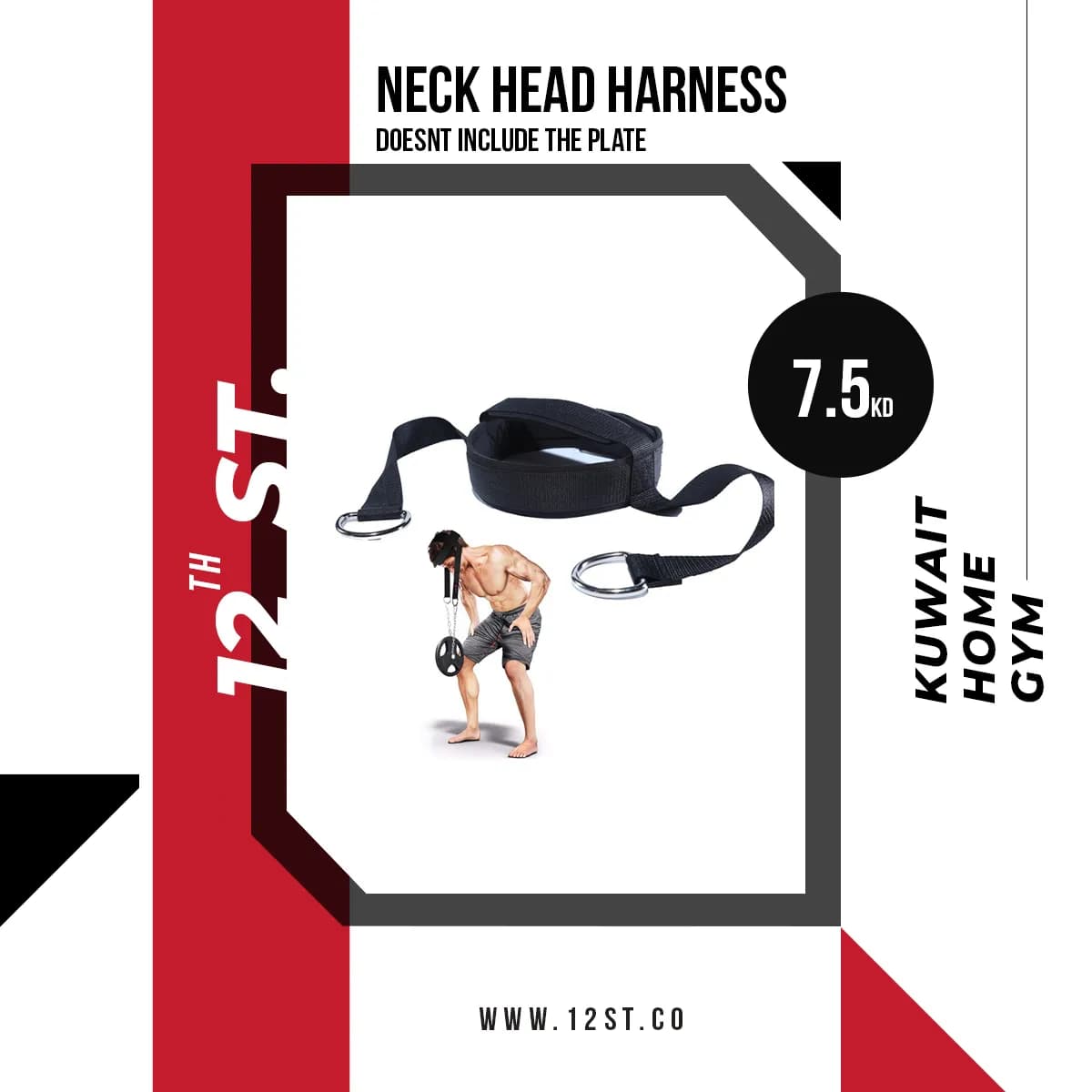 Head Neck Harness